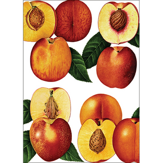 Peaches<br>(namedrop unavailable) image 0