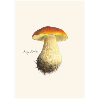 Edible Mushroom Assortment image 3