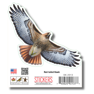 Red-Tailed Hawk image 1