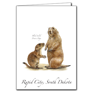 Prairie Dog image 0
