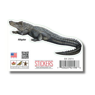 Alligator image 1