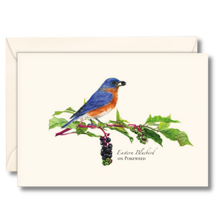 Eastern Bluebird with Pokeweed image 0