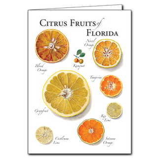 Citrus Fruits of Florida image 0