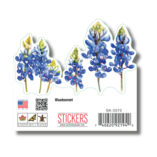 Bluebonnet image 1