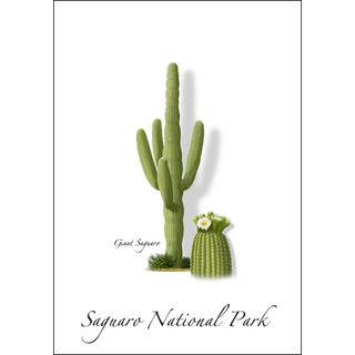 Giant Saguaro image 0