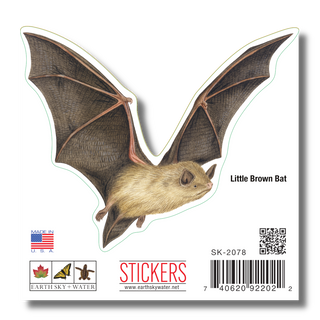 Little Brown Bat image 1