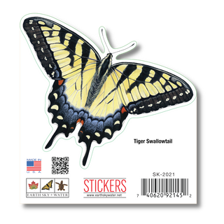 Tiger Swallowtail image 1