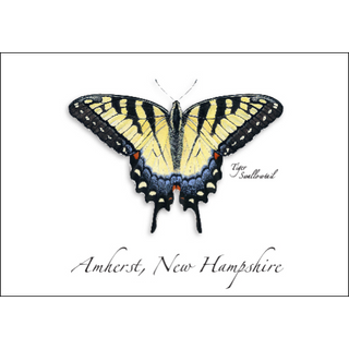 Eastern Tiger Swallowtail image 0