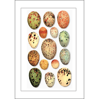 15 more eggs greeting card with playful farm themes, blank inside and gift-friendly