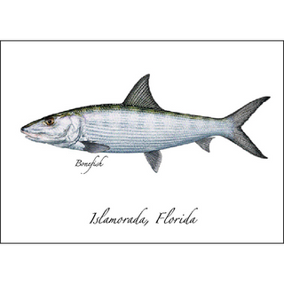 Bonefish image 0