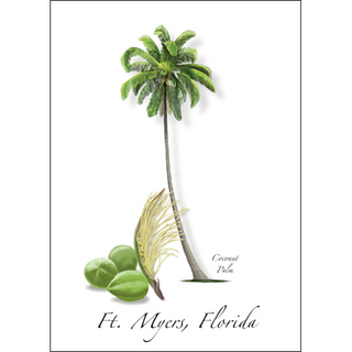 Coconut Palm image 0