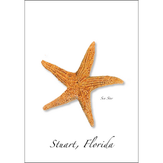 Sea Star image 0
