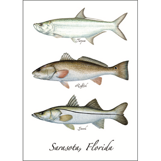 Florida Trifecta image 0