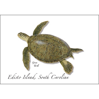 Green Turtle image 0