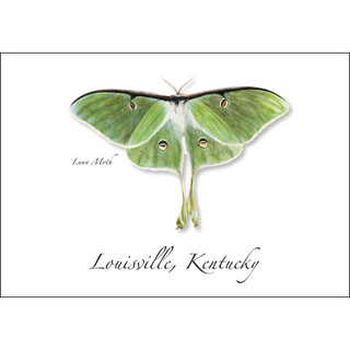 Luna Moth image 0