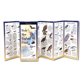 Birds of the New England Coast image 1