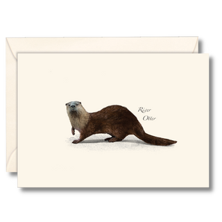 River Otter image 0