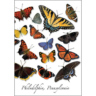 Butterfly Wrap-Around image 0