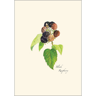 Berry Assortment image 3