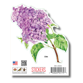 Lilac image 1