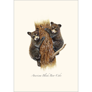Bear Cubs -NEW- image 1