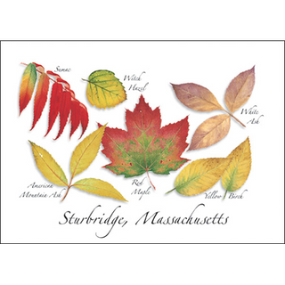 Red Maple Assortment image 0
