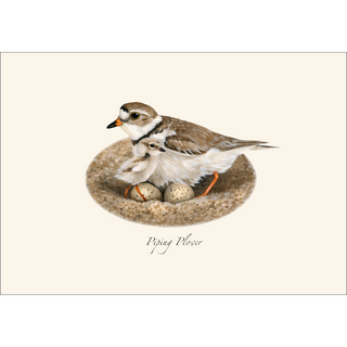 Plover Assortment image 2