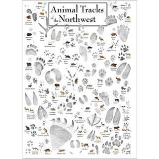 Animal Tracks of the Northwest - Unframed - Ships in a sturdy mailing tube image