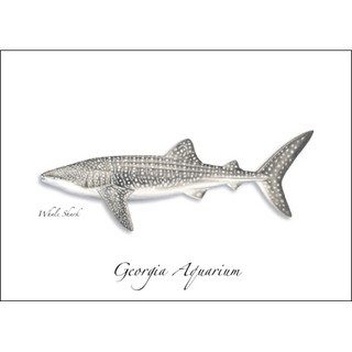 Whale Shark image 0