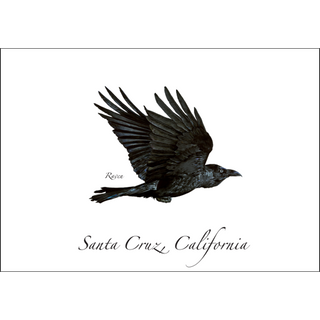 Raven in Flight image 0