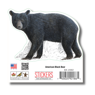 Black Bear image 1