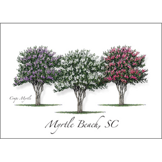 Crape Myrtle image 0