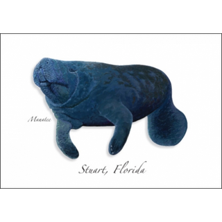 Manatee III image 0
