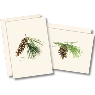 Pinecone Assortment image 0