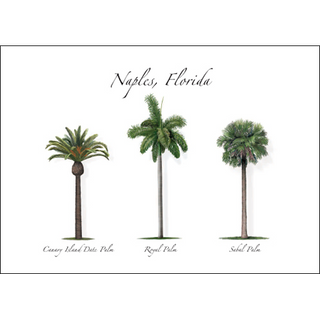 Palm Trio II image 0