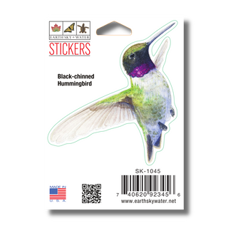 Black-Chinned Hummingbird image 1