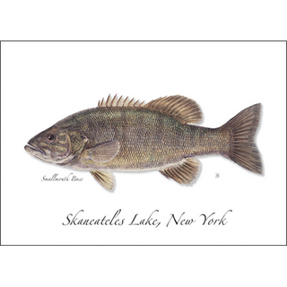 Smallmouth Bass image 0