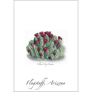 Claret Cup Cactus image 0