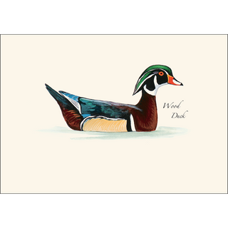 Sibley Duck Assortment image 1