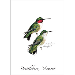 Ruby-throated Hummingbird image 0