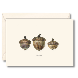 Three Acorns image 0