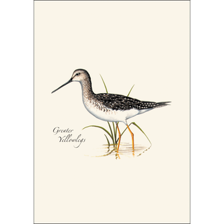 Shorebird Assortment image 2