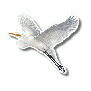Great Egret image 0