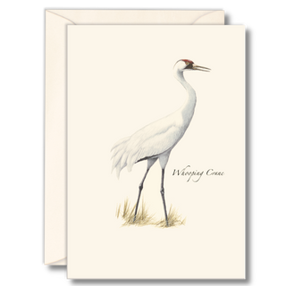 Whooping Crane image 0