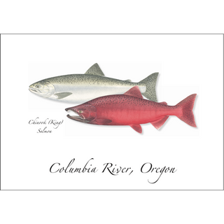 Chinook Salmon image 0