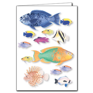 Caribbean Fish image 0