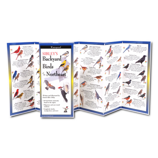 Sibley's Backyard Birds of the Northeast image 1