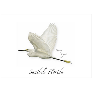 Snowy Egret image 0