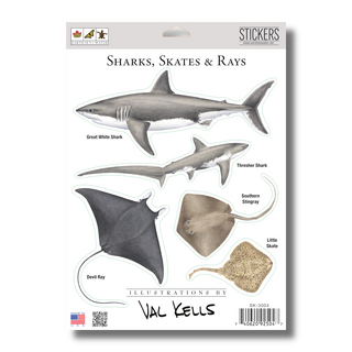 Sharks, Skates & Rays -NEW- image 1