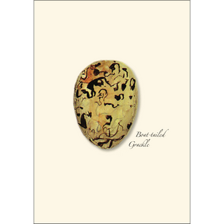 Bird Egg Assortment image 2
